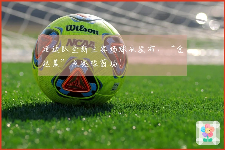 延边队全新主客场球衣发布，“金达莱”点亮绿茵场！